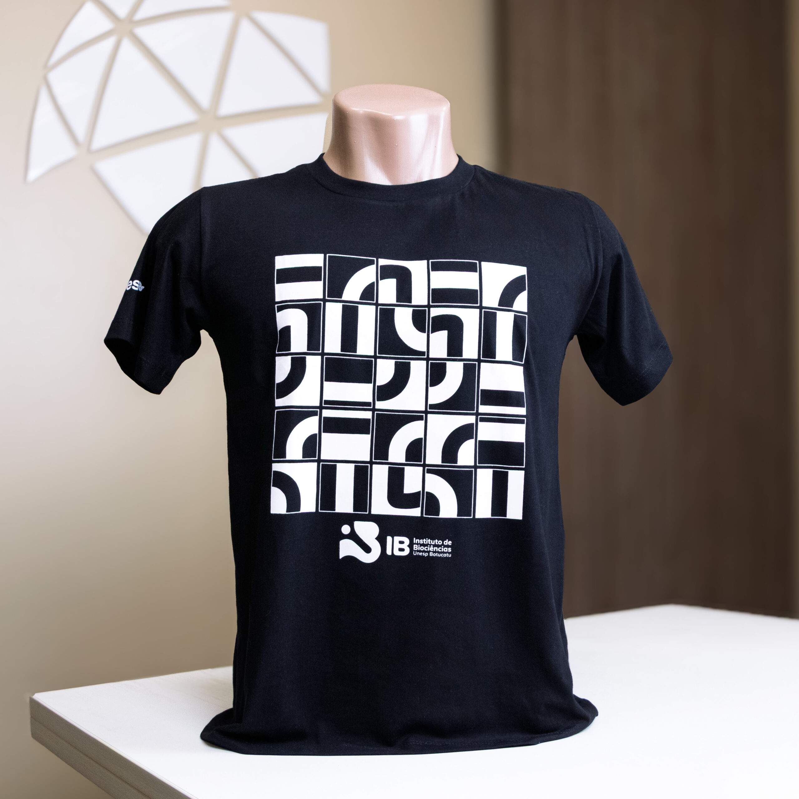 Camiseta Preta IB